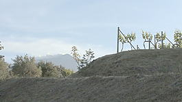 西西里岛的葡萄园与埃特纳火山4股票的录像 视频免费下载