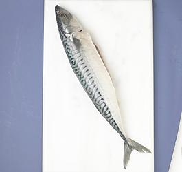 砧板上的秋刀魚圖片