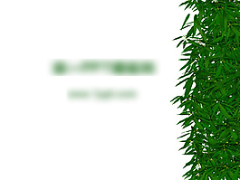 竹葉簡介PPT