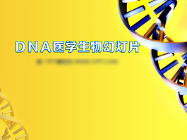 DNA醫學生物幻燈片PPT