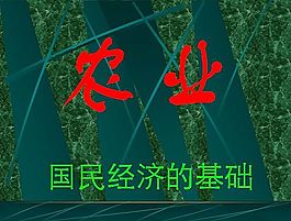 農業教學課件