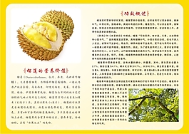 榴莲DM