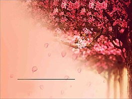 lomol唯美ppt背景