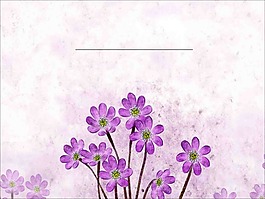 紫色花朵ppt模板