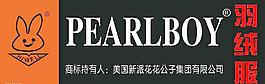 美國花花子羽絨服圖片
