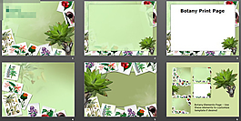 植物相冊(cè)PPT模板