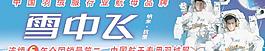 雪中飛圖片