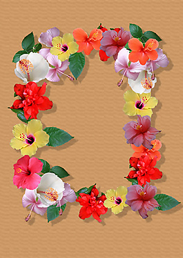 五彩繽紛朱瑾花相框