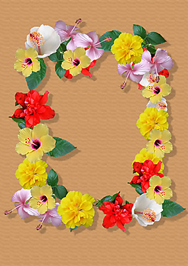 黃色朱瑾花相框