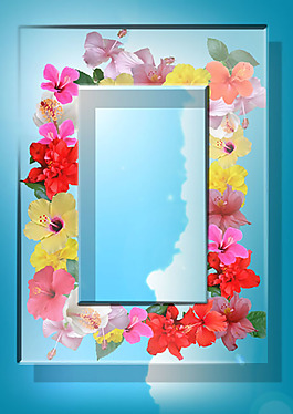 清爽朱瑾花水晶相框