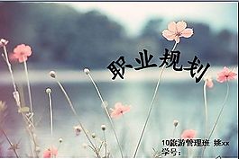 職業規劃ppt