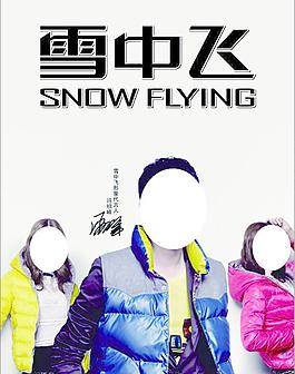雪中飛圖片