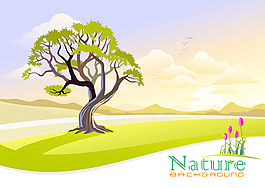 樹和自然風(fēng)光矢量背景02