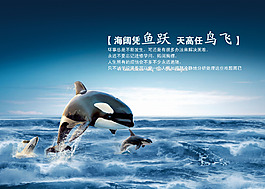 海阔天空 企业海报