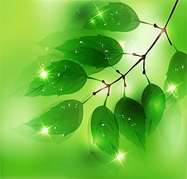 綠色植物葉子矢量圖