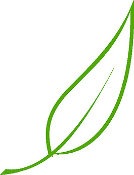 葉片夾藝術(shù)