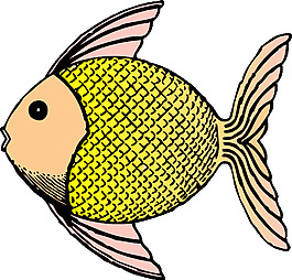 熱帶魚的剪輯藝術(shù)