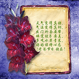 高檔父親節(jié)素材