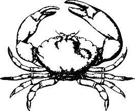 石蟹剪贴画