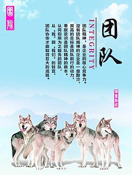 企业文化模版