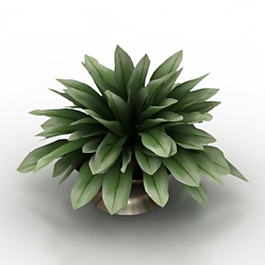綠色盆景的3D模型