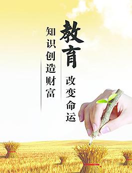教育展板