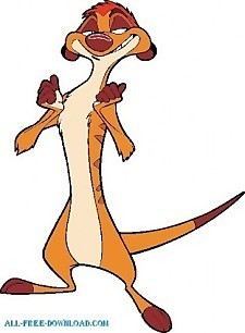獅子王timon009