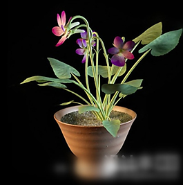 室內盆景的3D模型