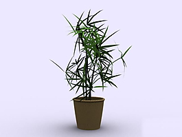 室內盆栽竹子模型