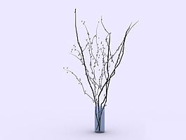 室內(nèi)的植物模型