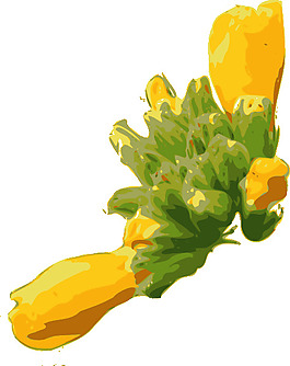花剪辑艺术