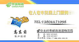 高東菊圖片