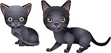 猫61向量