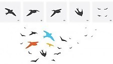 鳥類