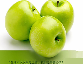 業(yè)務(wù)員培訓(xùn)PPT模板