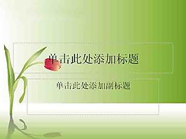 精美背景ppt模板