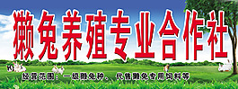 獺兔養(yǎng)殖