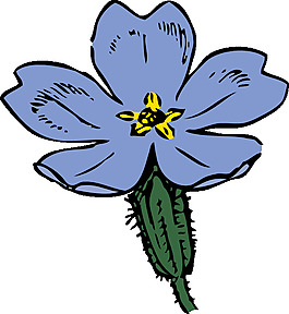 月见草剪贴画