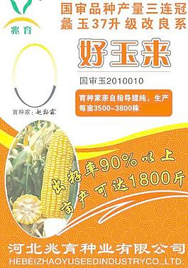 好玉來 兆育種業(yè)