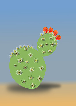 仙人掌类植物剪贴画