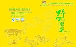 灵芝茶广告设计