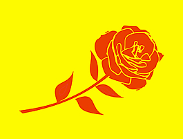 玫瑰花