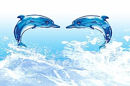 海豚飞越