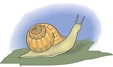蝸牛4