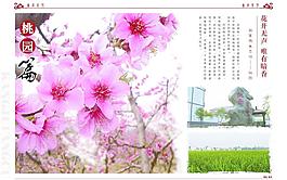 风景画册