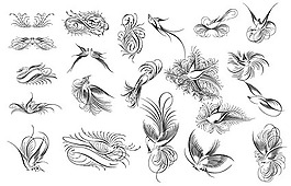 鳥，鳥，花，黑色和白色，和材料
