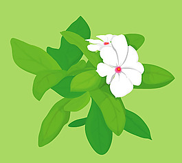 韓國風(fēng)格的茉莉矢量素材