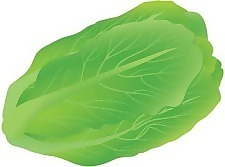 沙拉