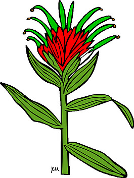 花剪辑艺术