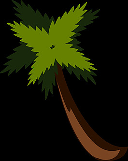 palmtreebysteve